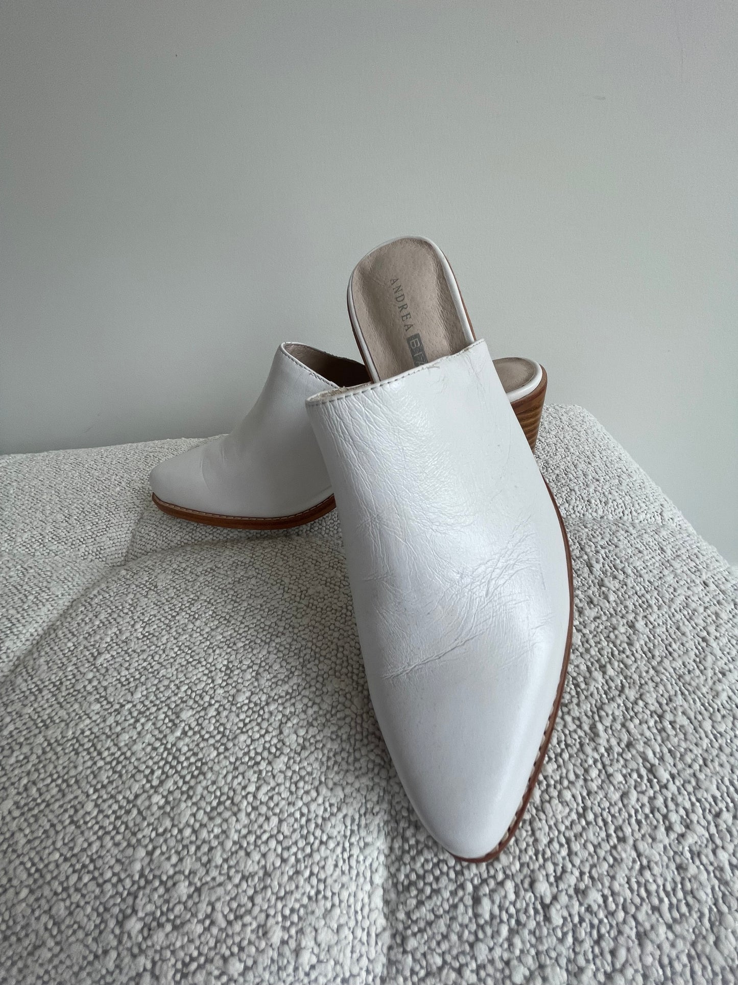 Andrea Biani mules 9