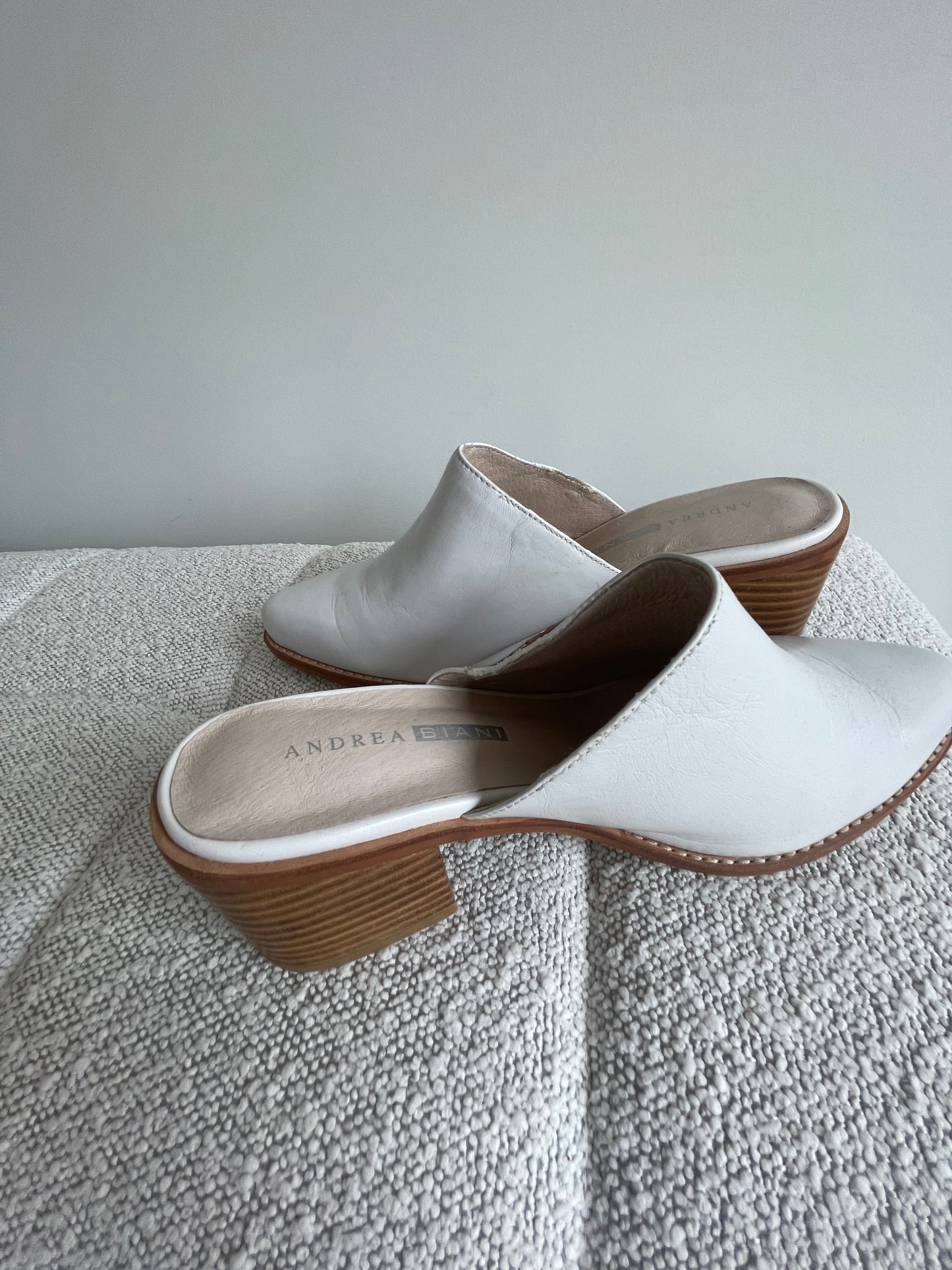 Andrea Biani mules 9