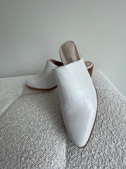 Andrea Biani mules 9